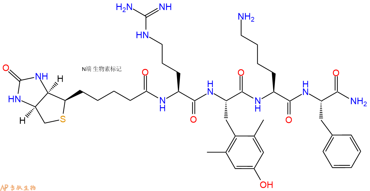专肽生物产品生物素标记肽Biotin-Arg-Dmt-Lys-Phe-NH2