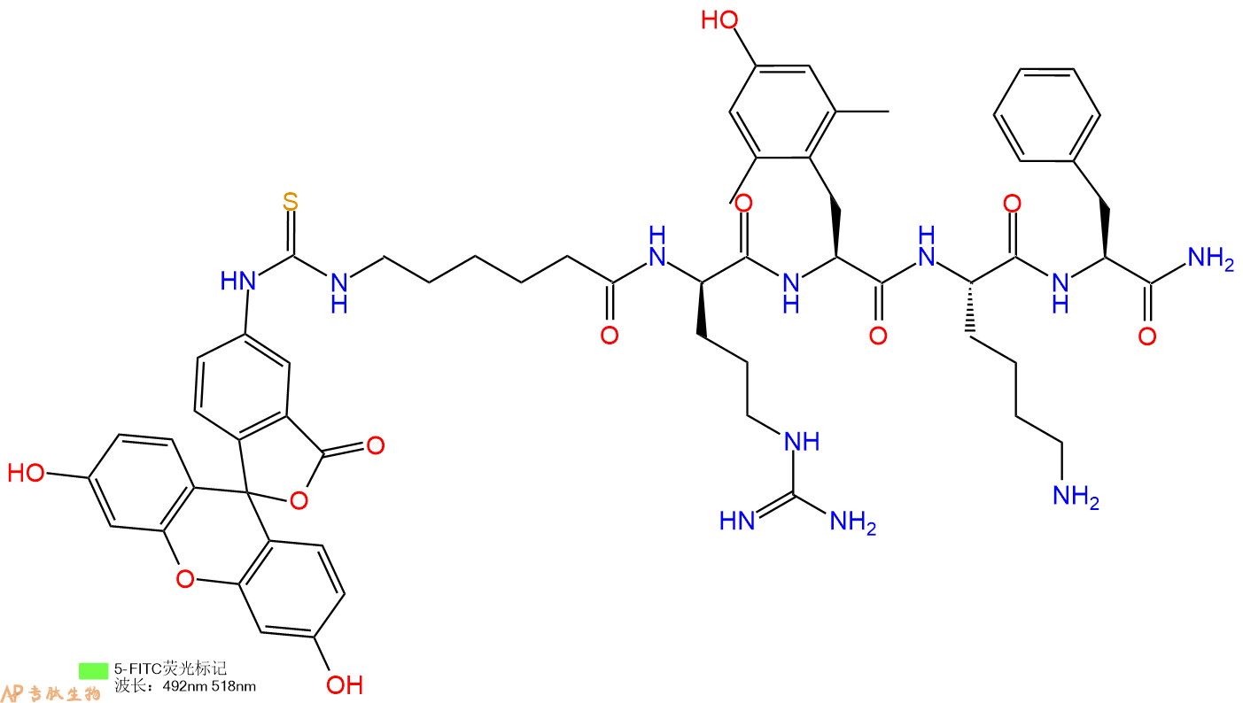 多肽生物产品FITC标记线粒体靶向抗氧化剂FITC-SS-31