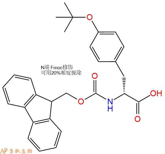 专肽生物产品Fmoc-D-Tyr(tBu)-OH/Fmoc-O-叔丁基-D-酪氨酸118488-18-9