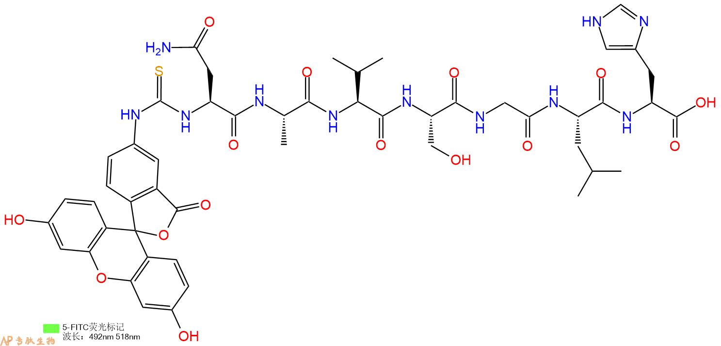 专肽生物产品七肽Fitc-NAVSGLH
