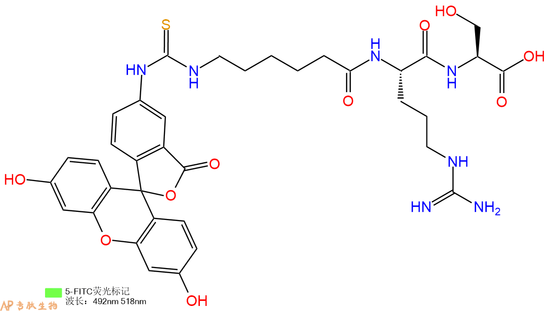专肽生物产品三肽FITC-Acp-Arg-Ser
