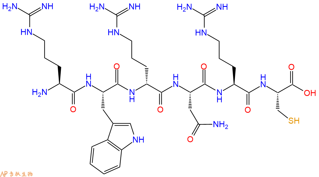 专肽生物产品六肽Arg-Trp-DArg-Asn-Arg-Cys