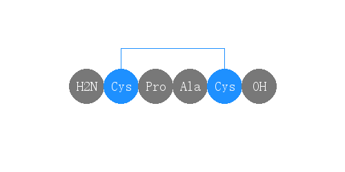 专肽生物产品四肽Cys-Pro-Ala-Cys(Disulfide Bridge:Cys1-Cys