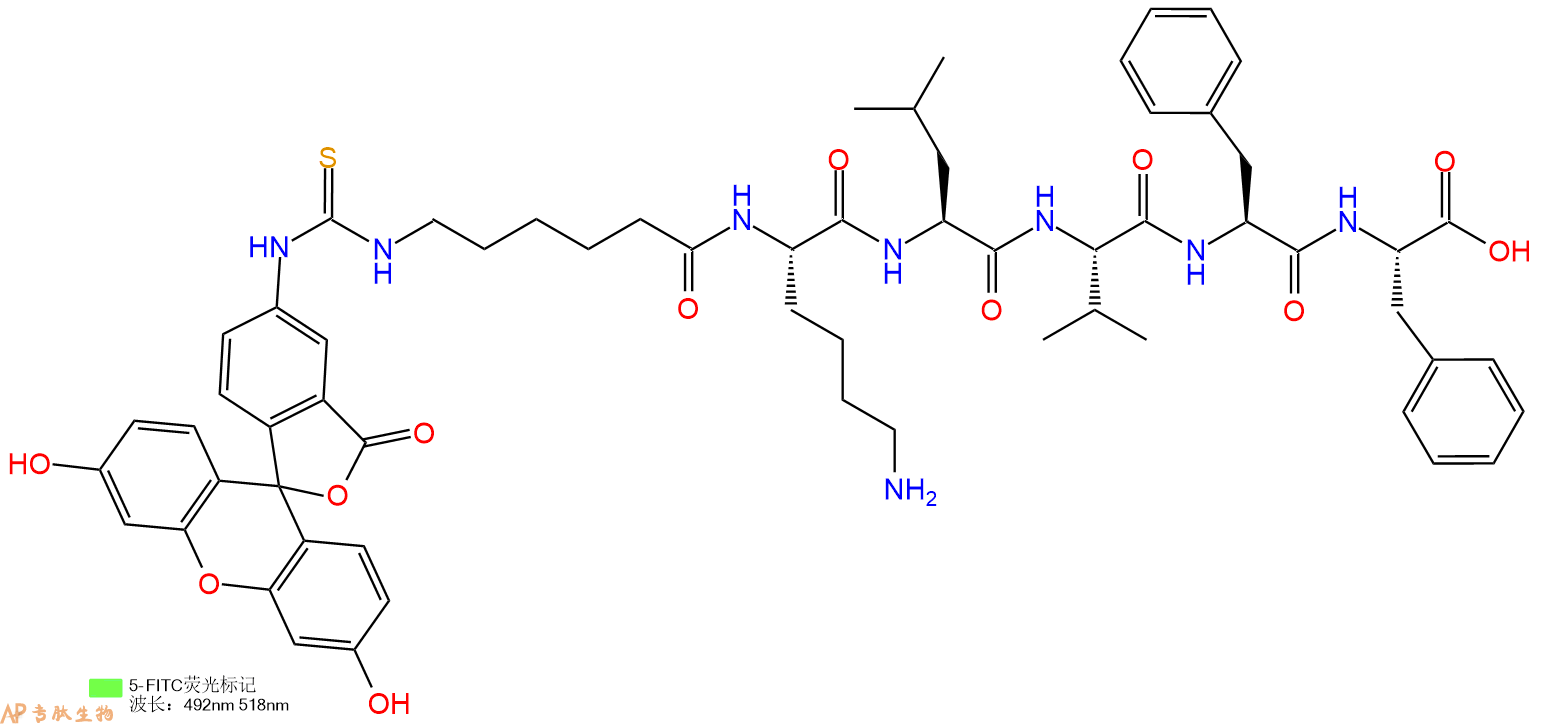 专肽生物产品六肽FITC-Acp-Lys-Leu-Val-Phe-Phe
