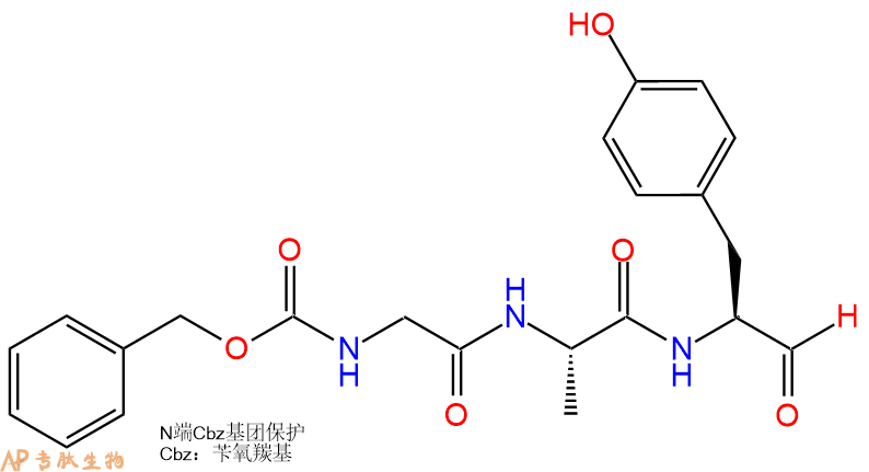 专肽生物产品三肽Cbz-Gly-Ala-Tyr-醛基化