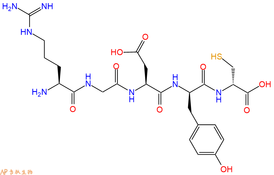 专肽生物产品五肽Arg-Gly-Asp-DTyr-DCys