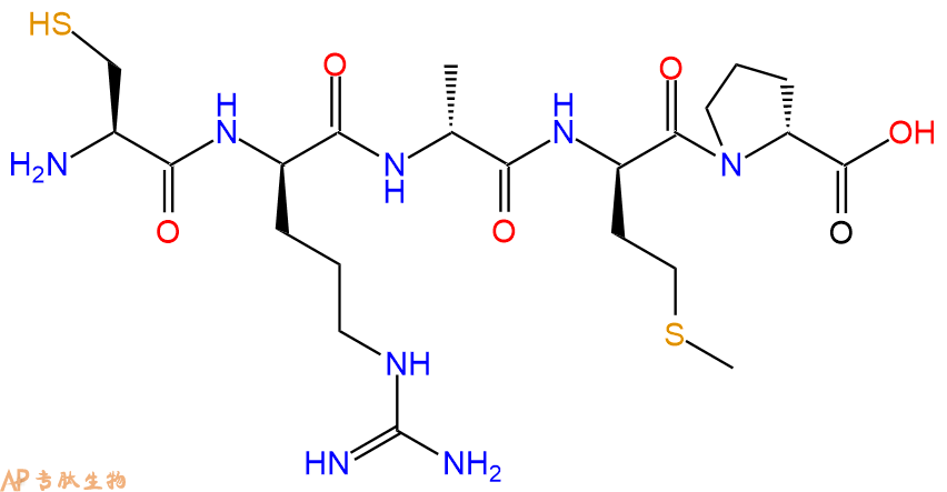 专肽生物产品五肽Cys-DArg-DAla-DMet-DPro