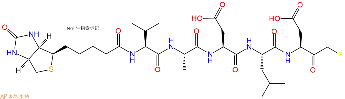 专肽生物产品五肽Biotin-Val-Ala-Asp-Leu-Asp-FMK