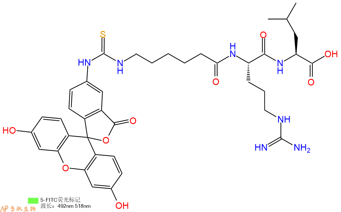 专肽生物产品三肽FITC-Acp-Arg-Leu
