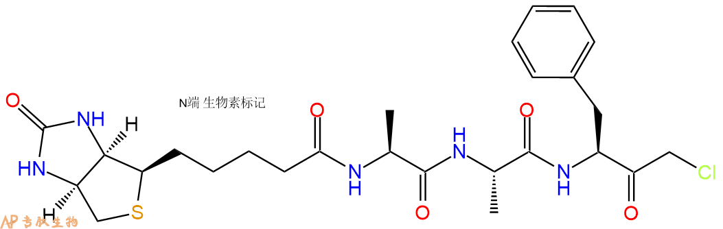 专肽生物产品BIOTIN-Ala-Ala-Phe-CMK