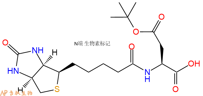 专肽生物产品Biotin-Asp(OtBu)