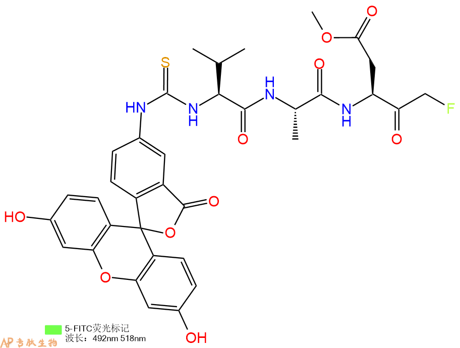 专肽生物产品FITC-Val-Ala-Asp(OMe)-FMK