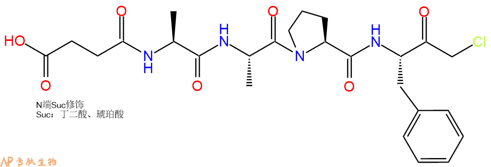 专肽生物产品SUC-Ala-Ala-Pro-Phe-CMK