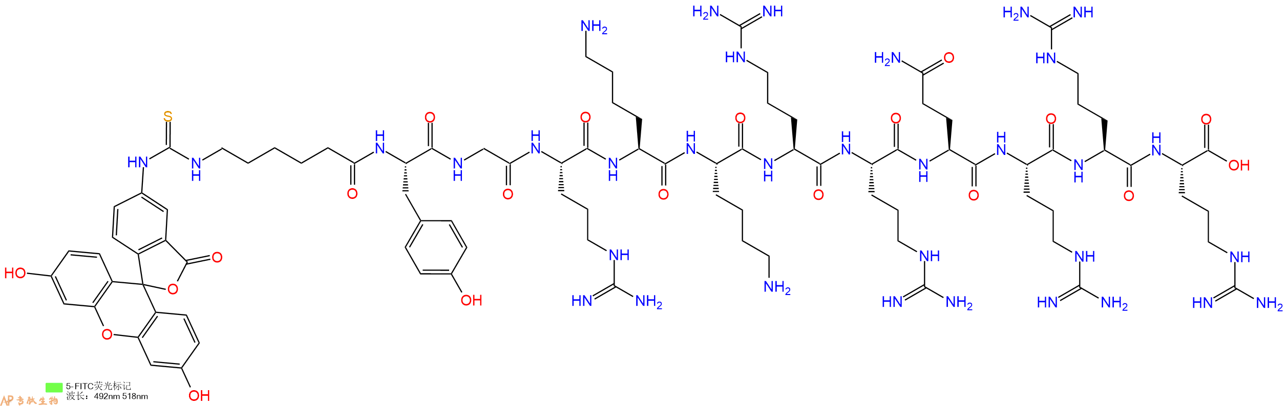 专肽生物产品细胞穿膜肽[5-FAM]-TAT (47-57)1676104-81-6