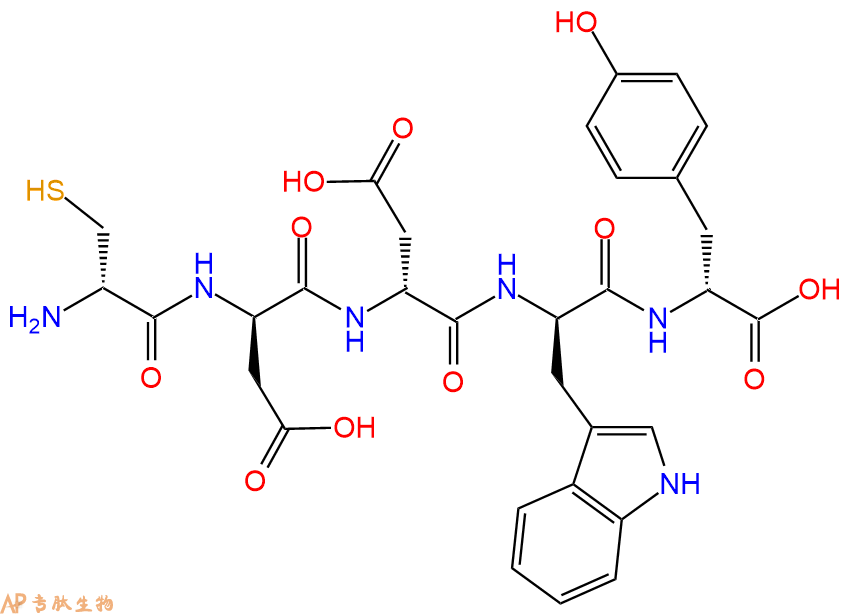 专肽生物产品H2N-DCys-DAsp-DAsp-DTrp-DTyr-COOH