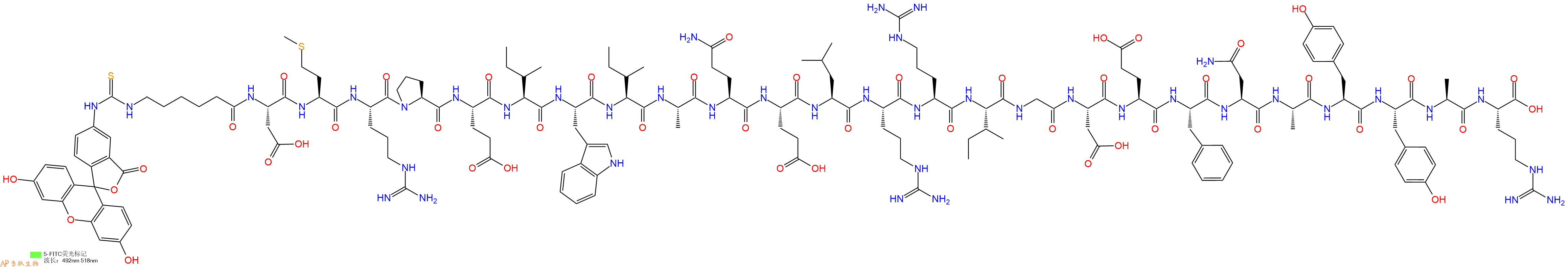 专肽生物产品FITC-缀合的BH3