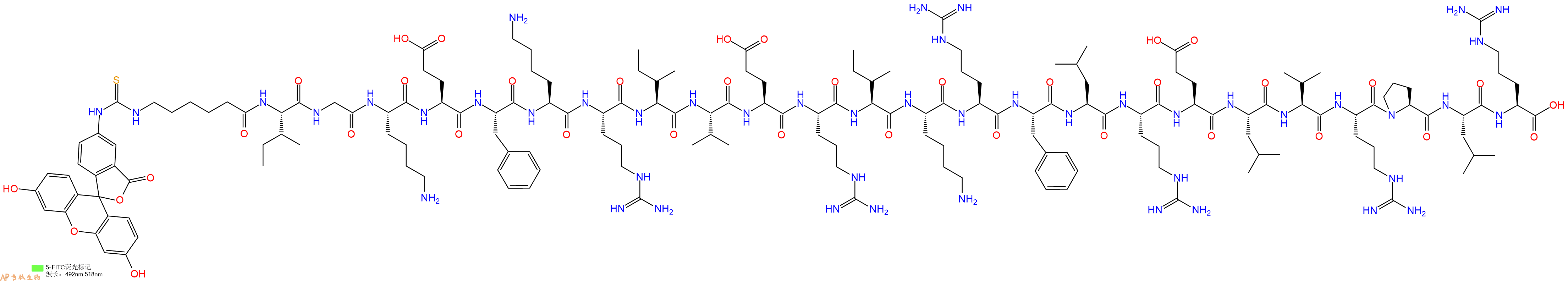 专肽生物产品5FITC-Ahx-Ile-Gly-Lys-Glu-Phe-Lys-Arg-Ile-Val-Glu-