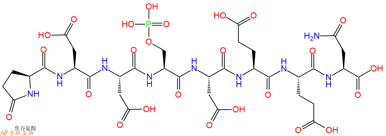 专肽生物产品PYR-Asp-Asp-Ser(PO3H2)-Asp-Glu-Glu-Asn
