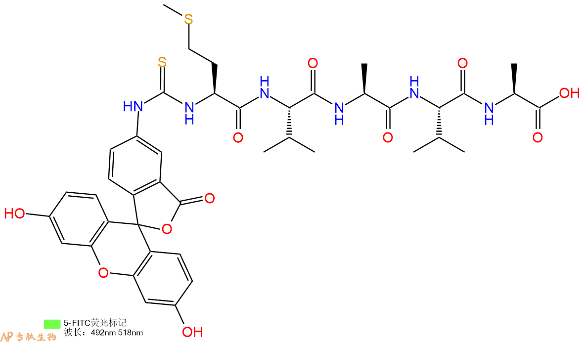 专肽生物产品5FITC-Met-Val-Ala-Val-Ala-COOH
