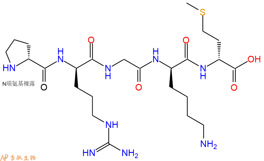 专肽生物产品H2N-DPro-DArg-Gly-DLys-DMet-COOH