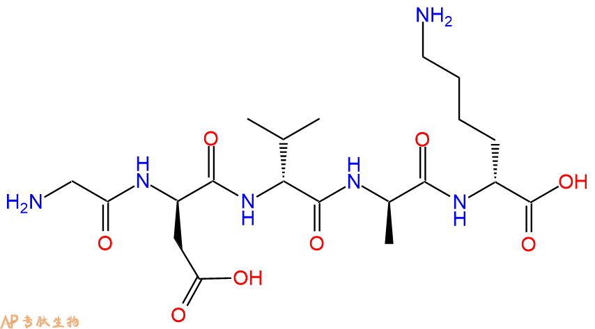 专肽生物产品H2N-Gly-DAsp-DVal-DAla-DLys-COOH