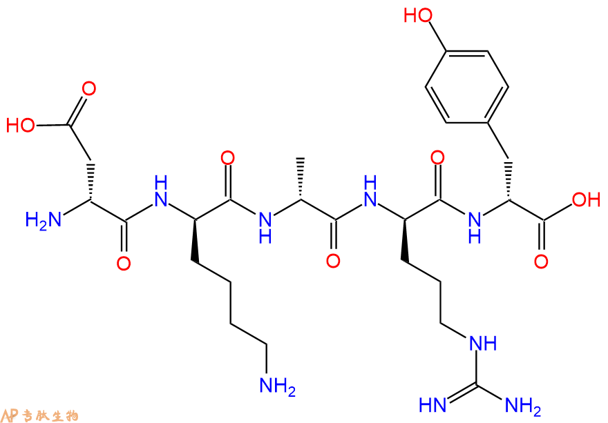 专肽生物产品H2N-DAsp-DLys-DAla-DArg-DTyr-COOH