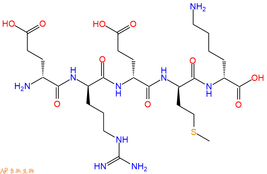 专肽生物产品H2N-DGlu-DArg-DGlu-DMet-DLys-COOH