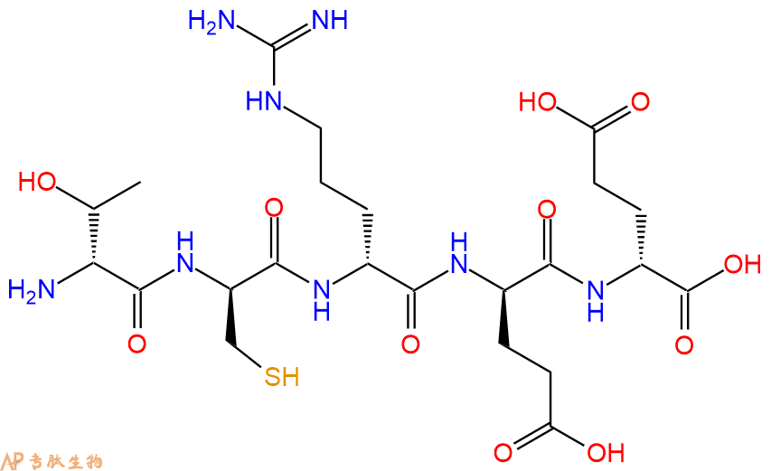 专肽生物产品H2N-DThr-DCys-DArg-DGlu-DGlu-COOH