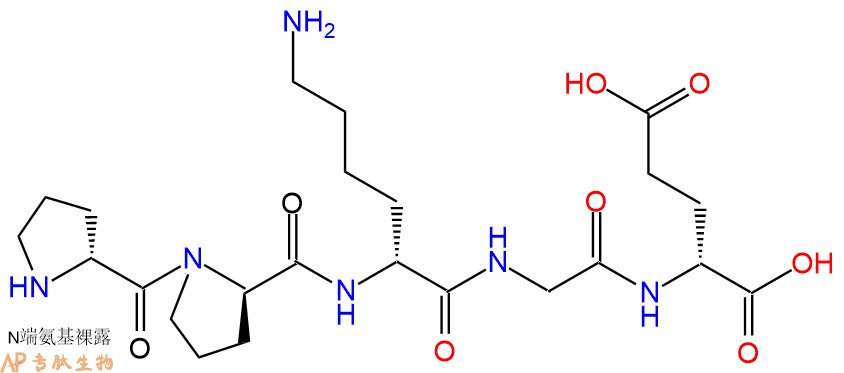专肽生物产品H2N-DPro-DPro-DLys-Gly-DGlu-COOH