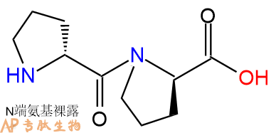 专肽生物产品H2N-DPro-DPro-COOH