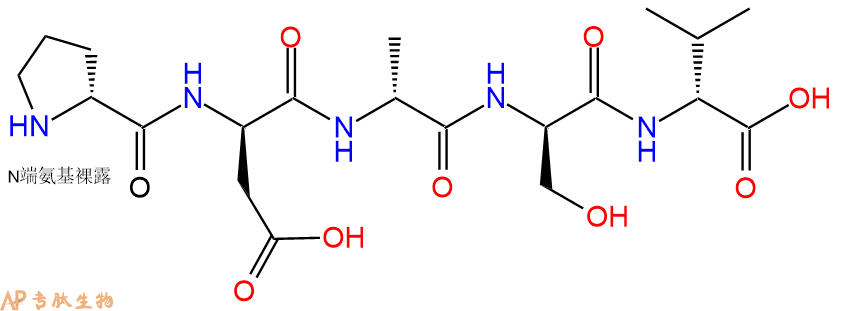 专肽生物产品H2N-DPro-DAsp-DAla-DSer-DVal-COOH