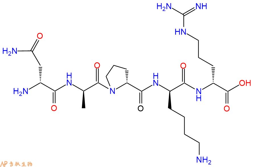 专肽生物产品H2N-DAsn-DAla-DPro-DLys-DArg-COOH
