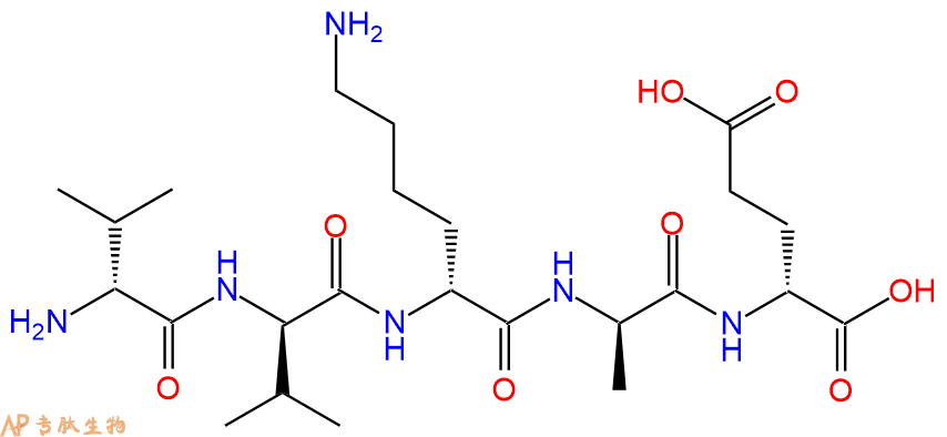 专肽生物产品H2N-DVal-DVal-DLys-DAla-DGlu-COOH