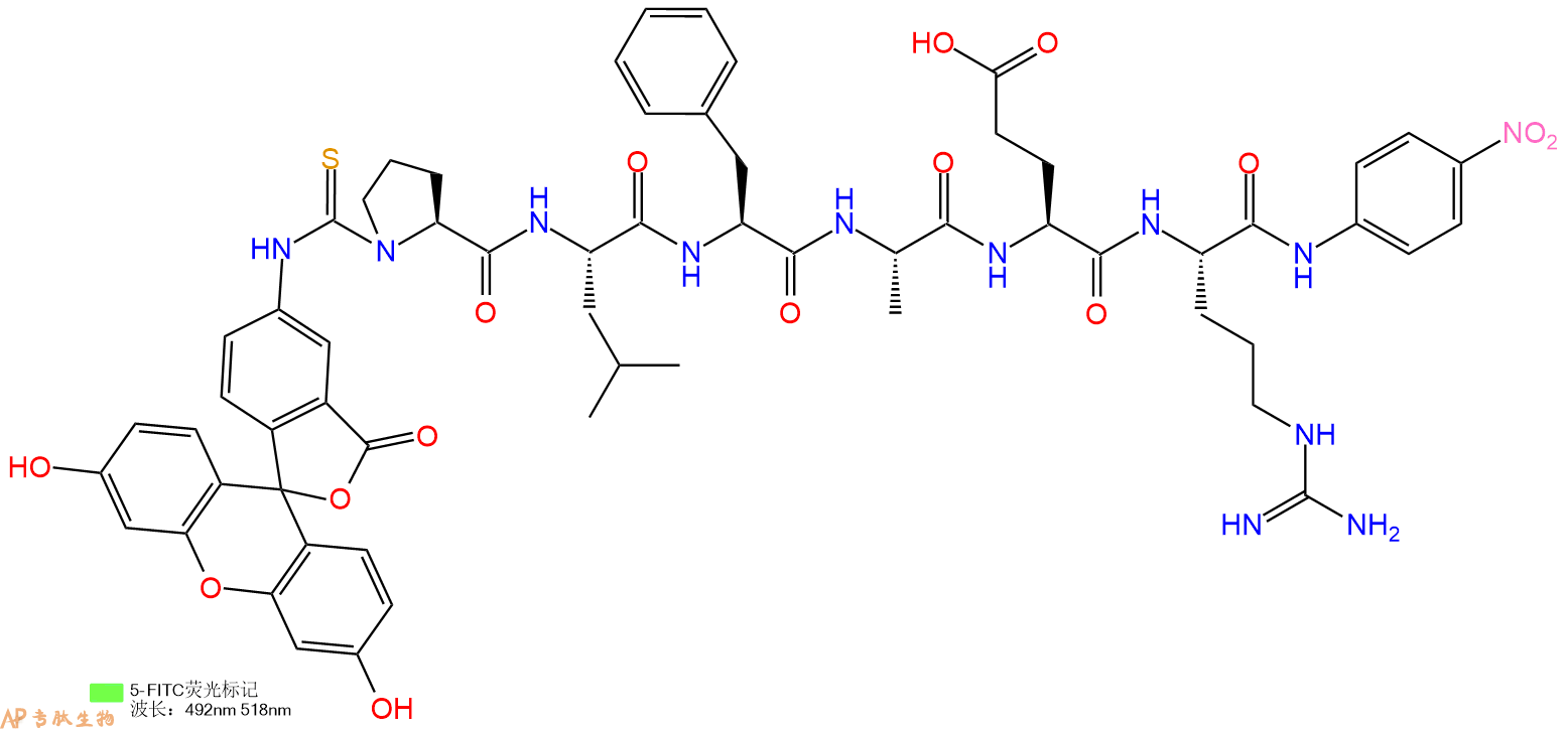 专肽生物产品5FITC-Pro-Leu-Phe-Ala-Glu-Arg-pNA