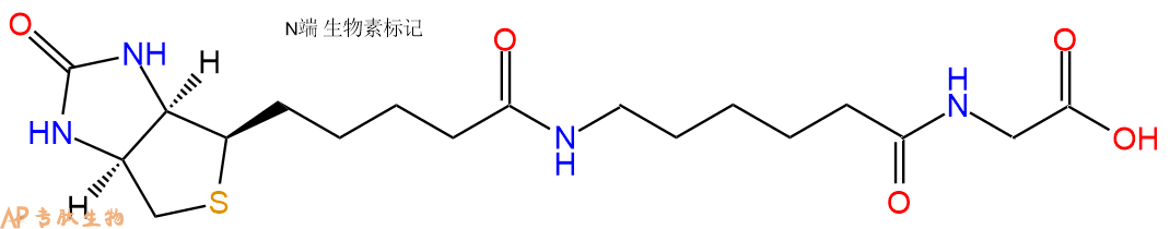 专肽生物产品Biotin-Ahx-Gly-COOH