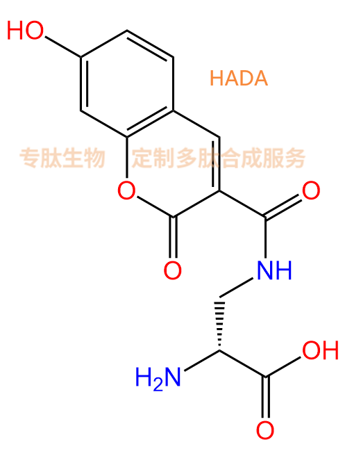 专肽生物产品香豆素标记肽HADA、(D)Dap(7-羟基香豆素-3- 羧酸)
