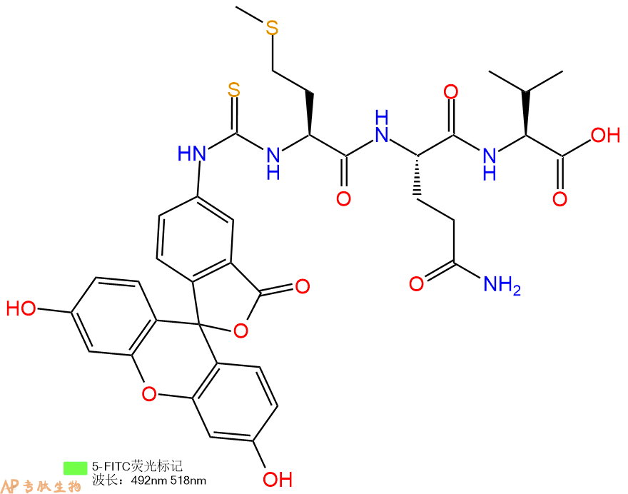 专肽生物产品5FITC-Met-Gln-Val-COOH