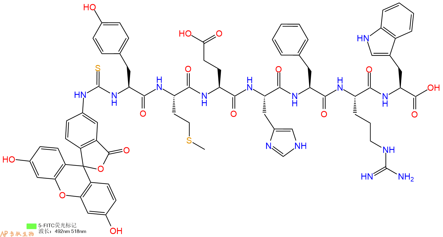 专肽生物产品5FITC-Tyr-Met-Glu-His-Phe-Arg-Trp-COOH