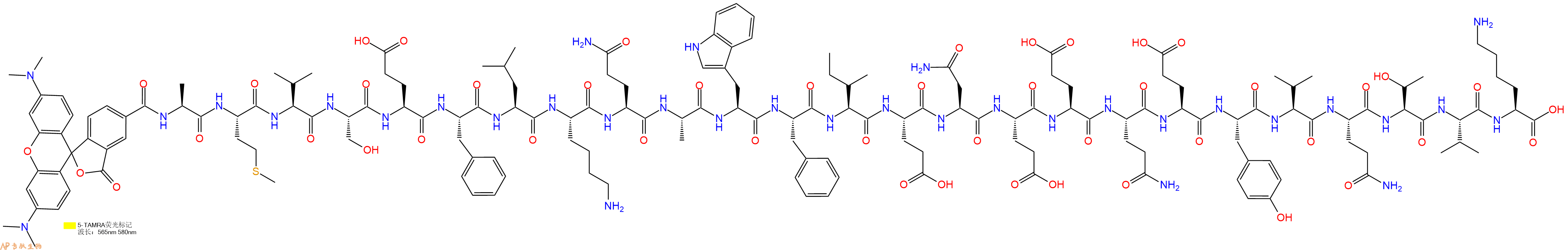 专肽生物产品5TAMRA-Ala-Met-Val-Ser-Glu-Phe-Leu-Lys-Gln-Ala-Trp