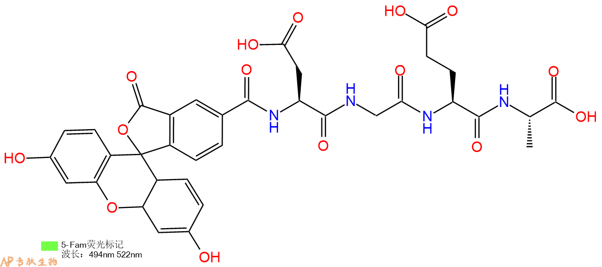 专肽生物产品5FAM-Asp-Gly-Glu-Ala-COOH