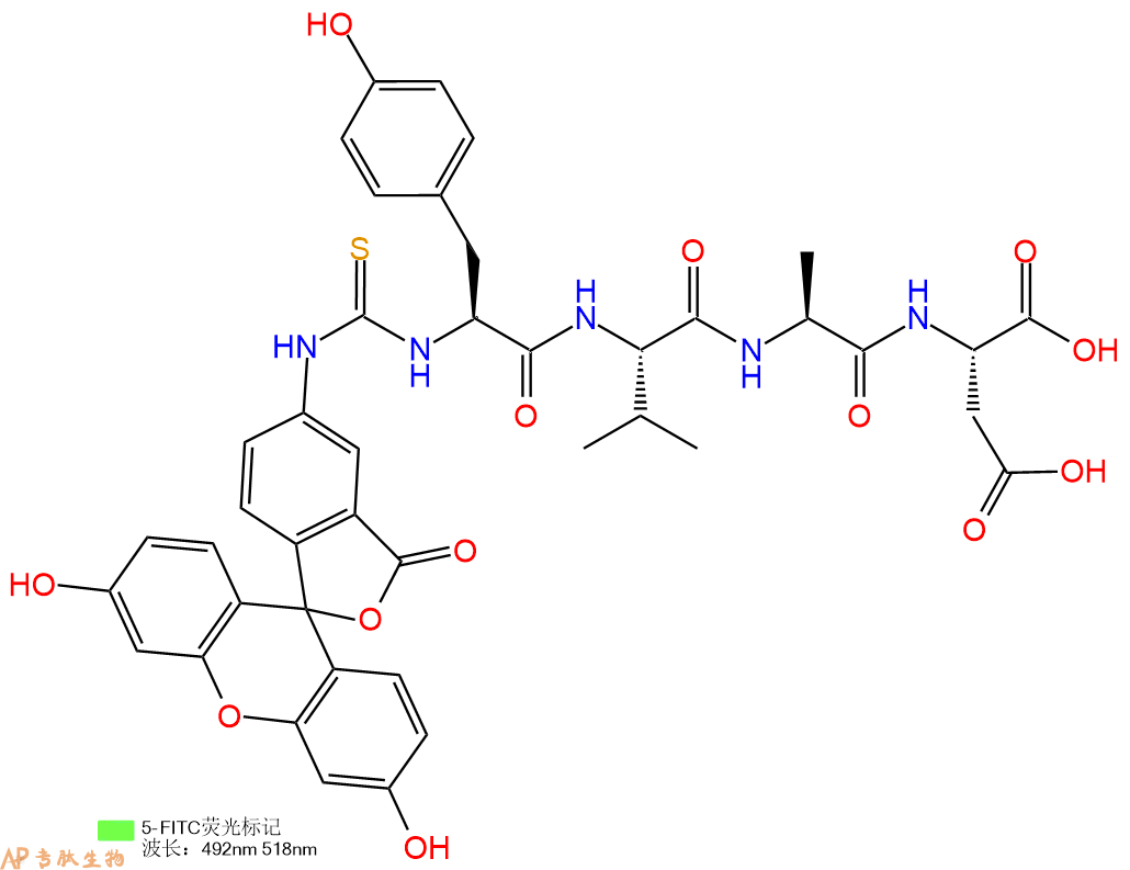 专肽生物产品5FITC-Tyr-Val-Ala-Asp-COOH
