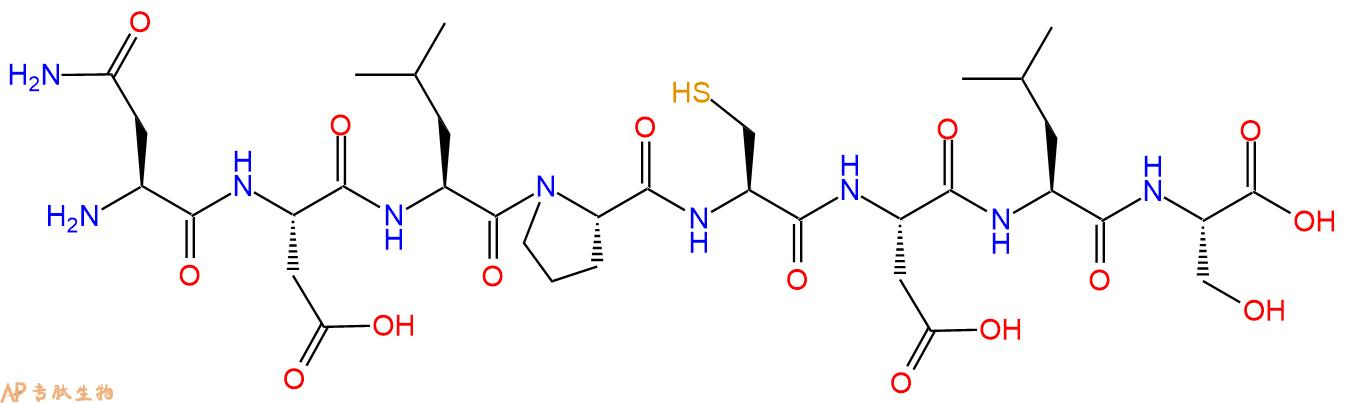 专肽生物产品H2N-Asn-Asp-Leu-Pro-Cys-Asp-Leu-Ser-COOH