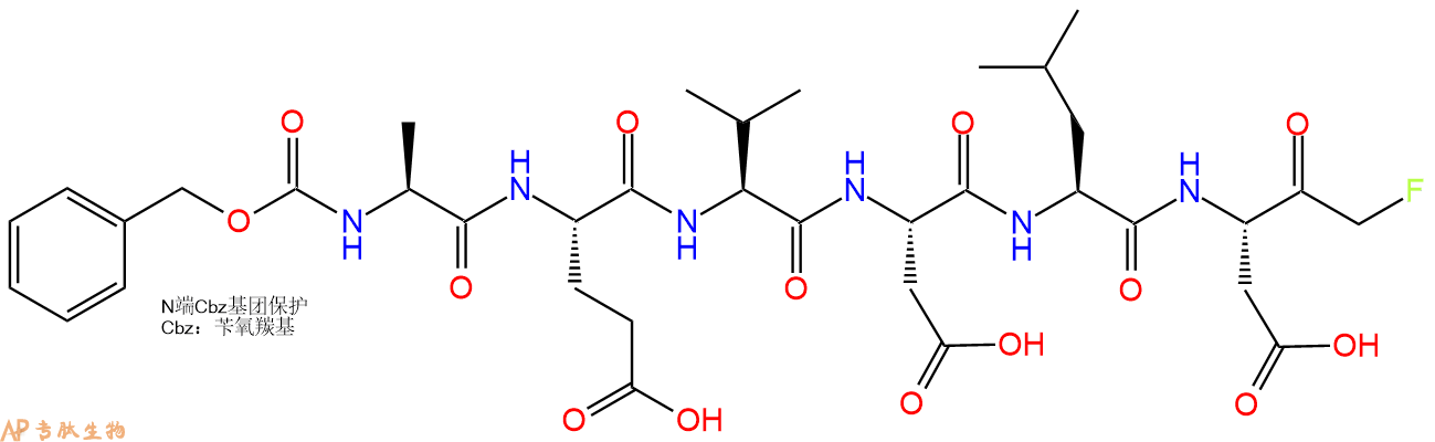 专肽生物产品Cbz-Ala-Glu-Val-Asp-Leu-Asp-FMK