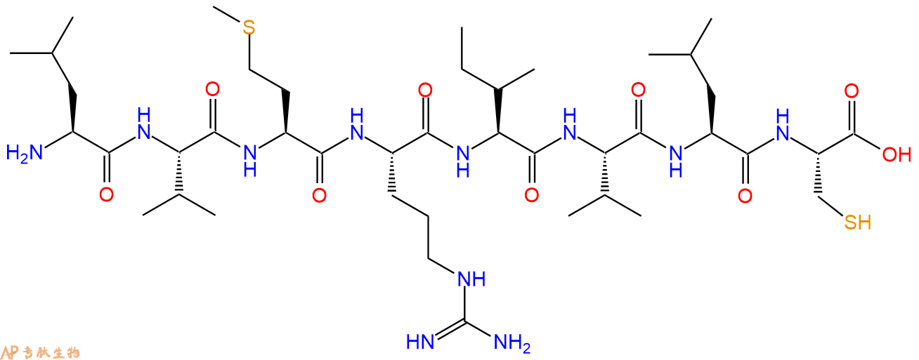专肽生物产品H2N-Leu-Val-Met-Arg-Ile-Val-Leu-Cys-COOH