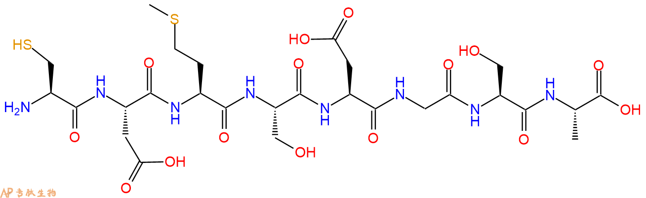 专肽生物产品H2N-Cys-Asp-Met-Ser-Asp-Gly-Ser-Ala-COOH