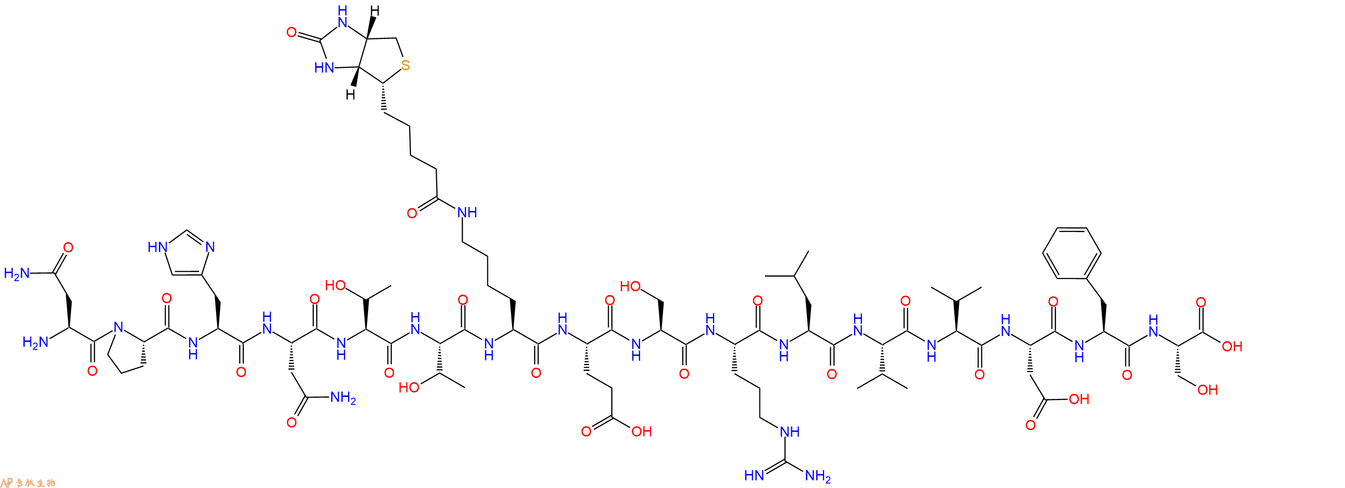 专肽生物产品H2N-Asn-Pro-His-Asn-Thr-Thr-Lys(Biotin)-Glu-Ser-Ar