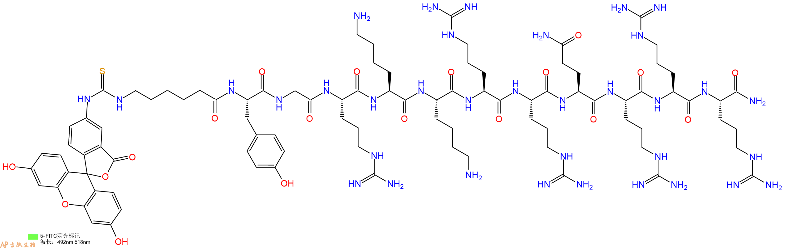 专肽生物产品FITC-LC-TAT (47-57)