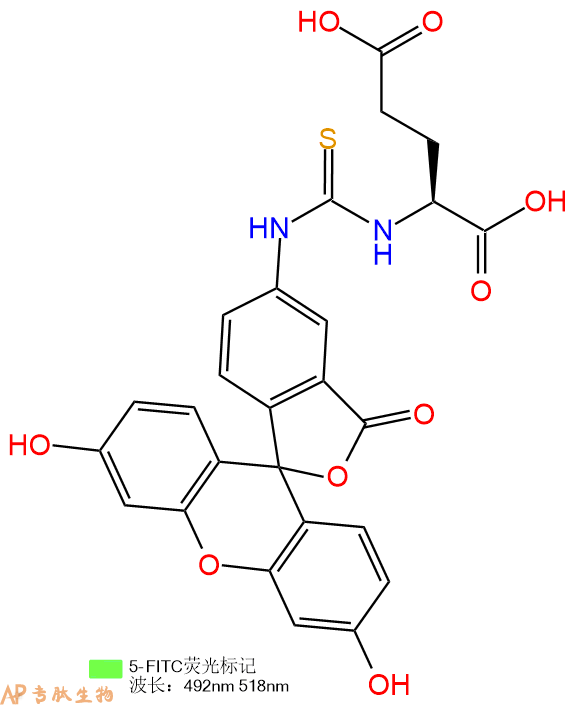 专肽生物产品5FITC-Glu-COOH