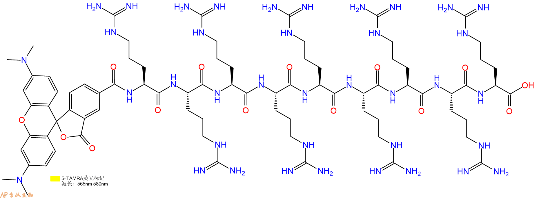 专肽生物产品(Arg)9 TAMRA - labeled