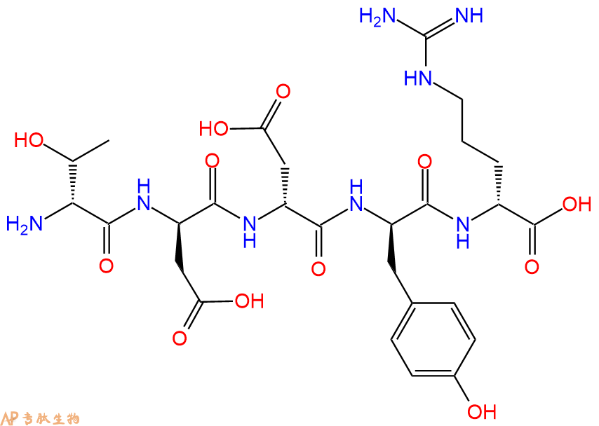 专肽生物产品H2N-DThr-DAsp-DAsp-DTyr-DArg-COOH